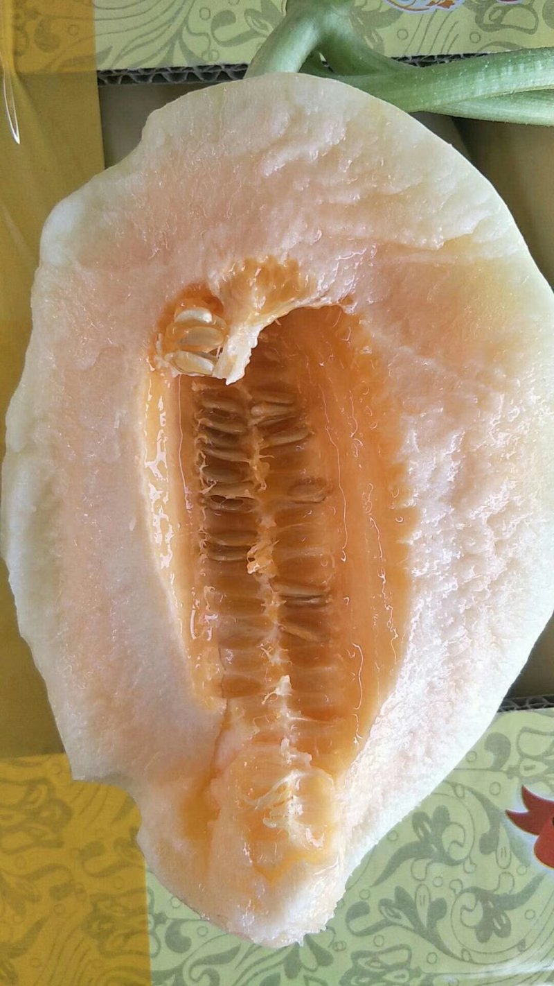 供应山东莘县红金蜜洋香瓜