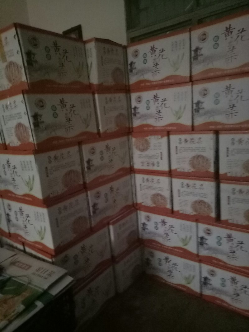 黄花菜一级白条/颜色一致/产地直销/量大从优