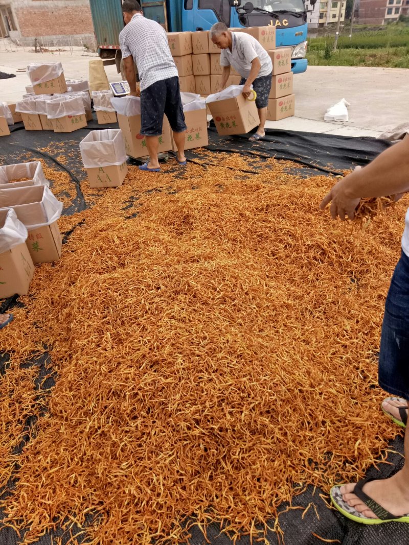 黄花菜一级白条/颜色一致/产地直销/量大从优