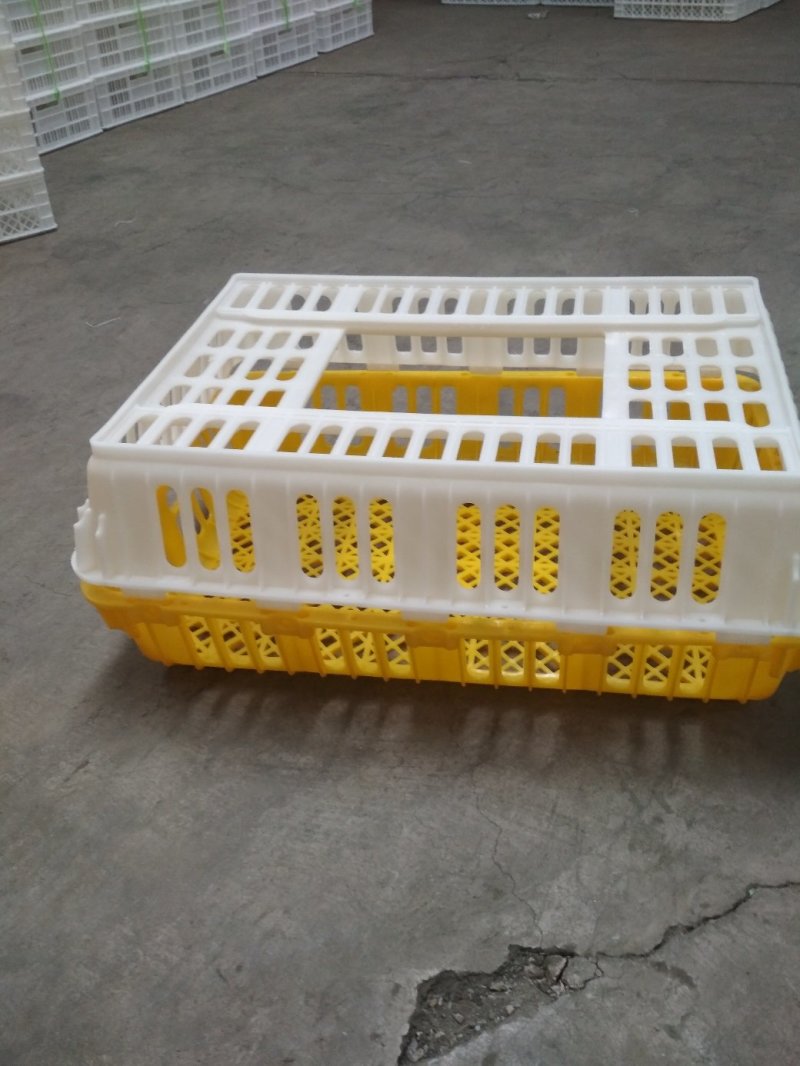 鸡笼鸭笼