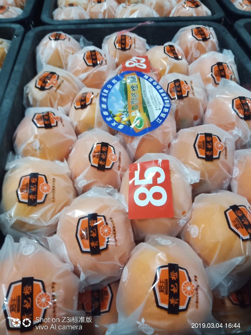 崀山脐橙7904脐橙新宁优质脐橙基地