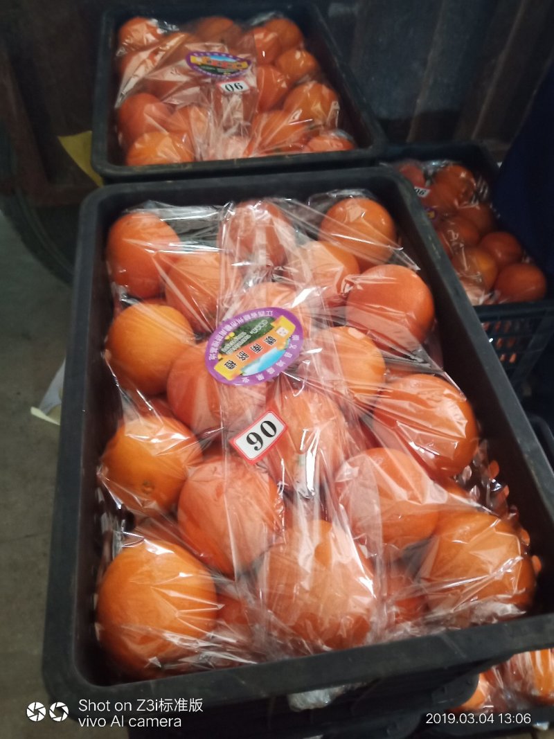 崀山脐橙7904精品脐橙