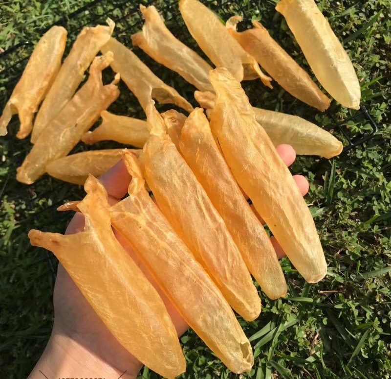 黄花筒黄鱼胶60头