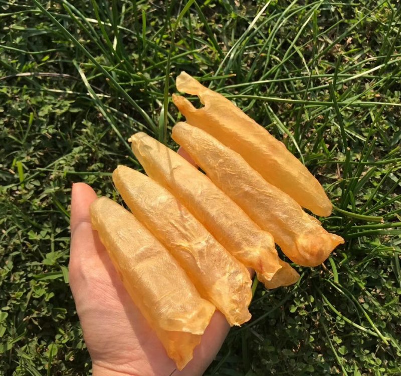 黄花筒黄鱼胶60头