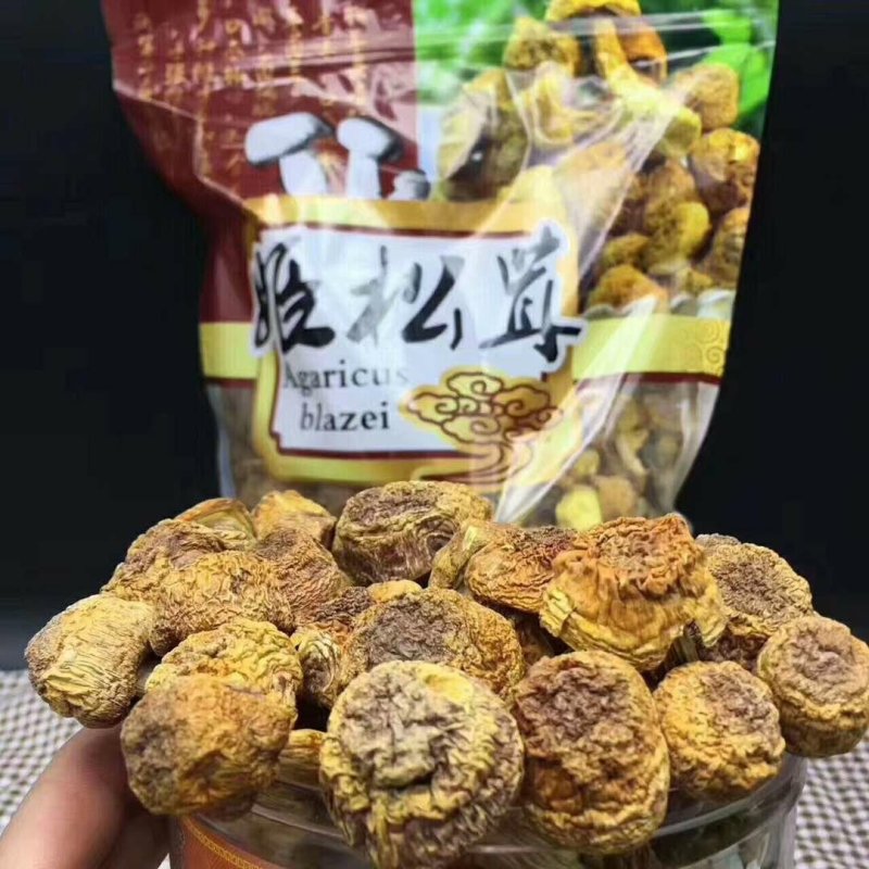 姬松茸