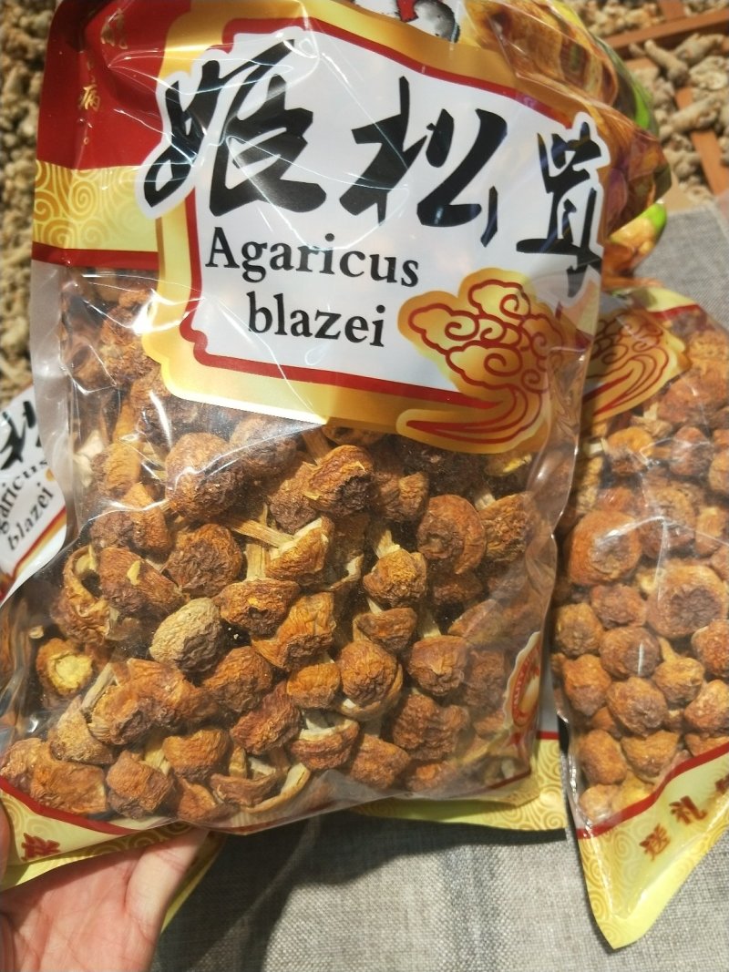姬松茸
