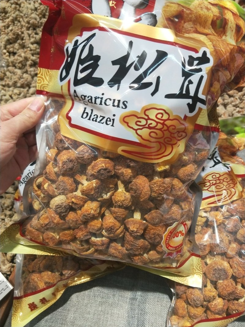 姬松茸