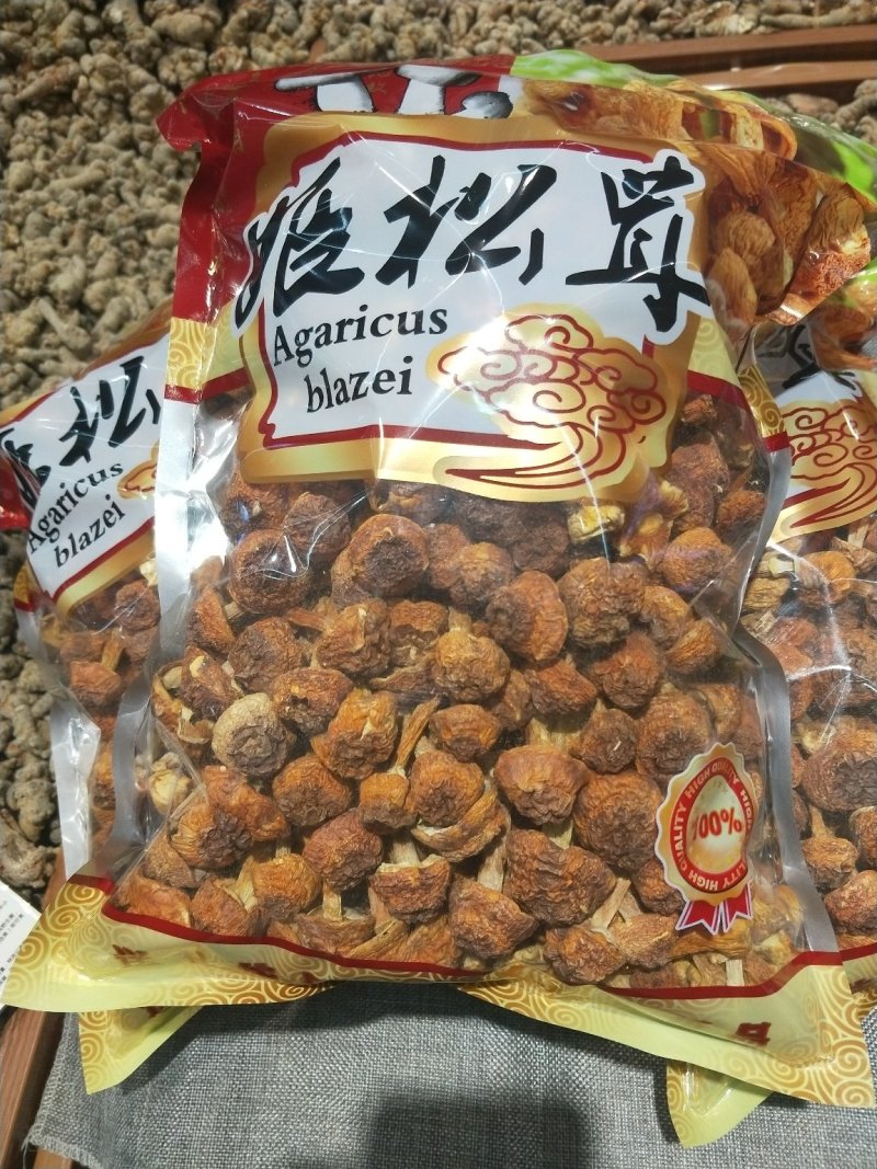 姬松茸