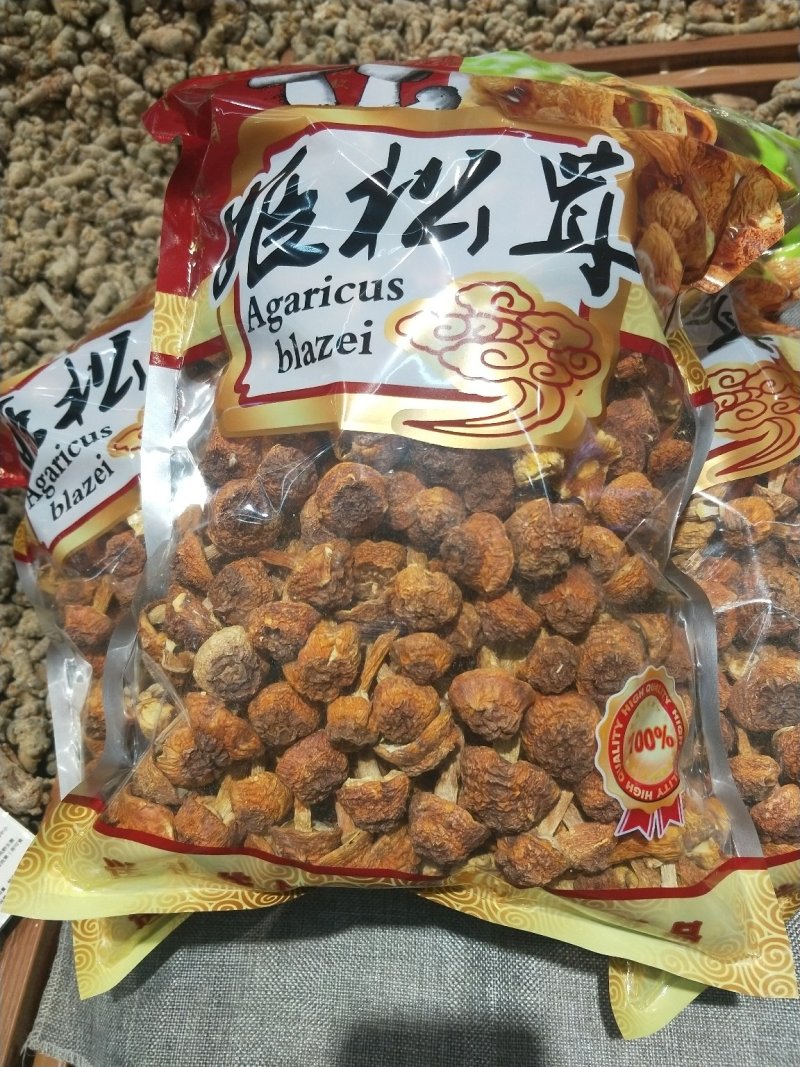 姬松茸