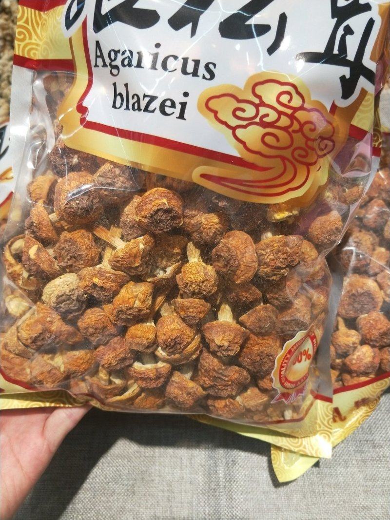 姬松茸