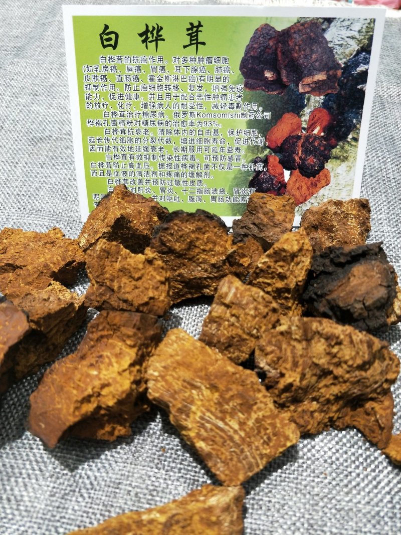 桦树茸【白桦茸】