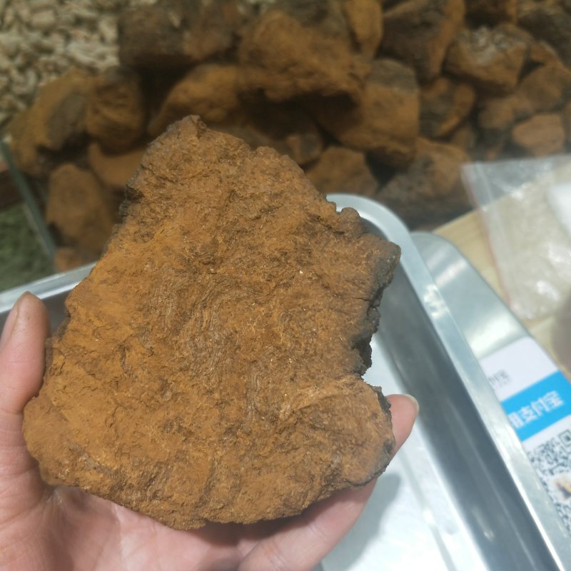 桦树茸【白桦茸】