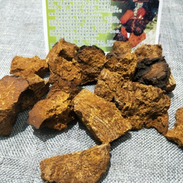 桦树茸【白桦茸】