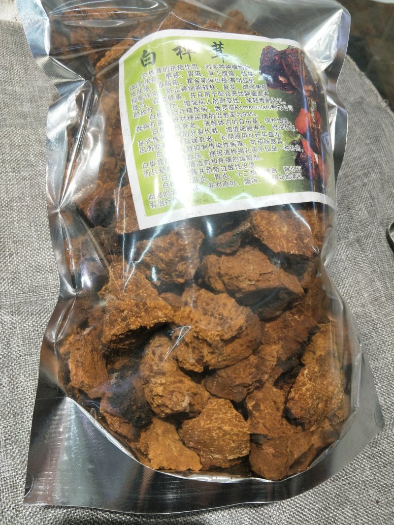 桦树茸【白桦茸】