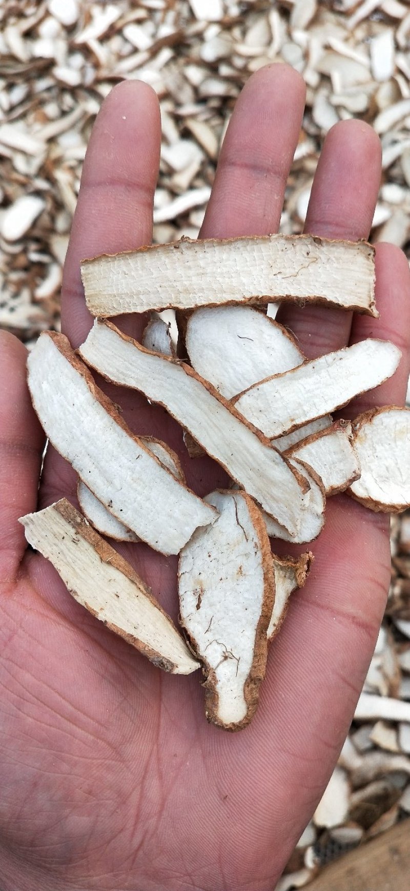 铁棍山药片正宗河南温县怀山药干无硫熏***