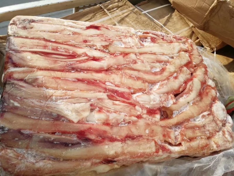 蹄筋