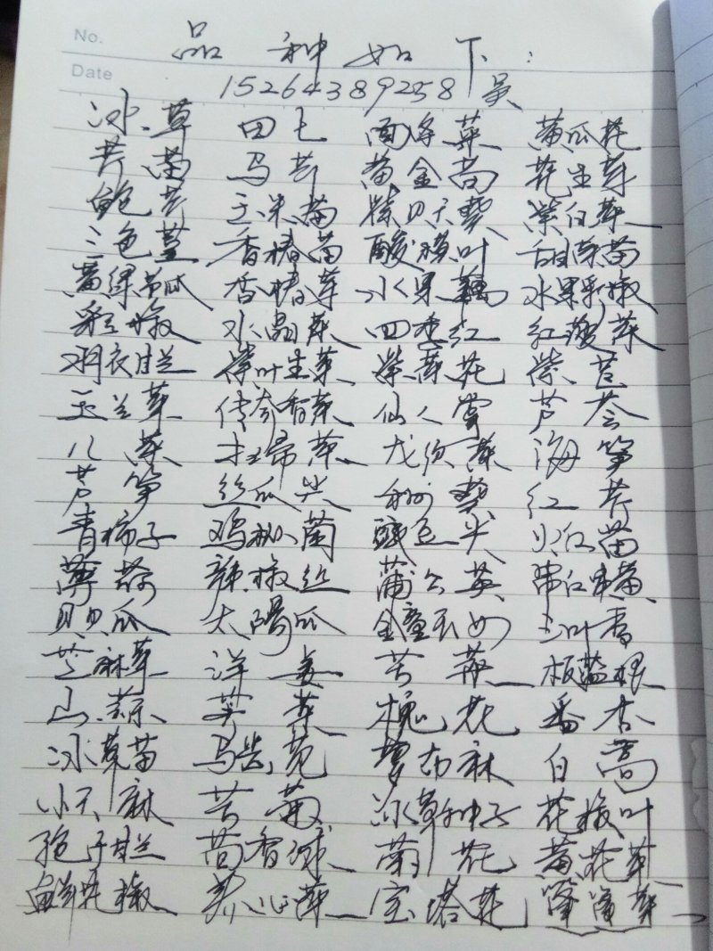 山东特菜，野菜，花生芽，冰草等上百品种批发