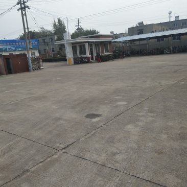 粉条