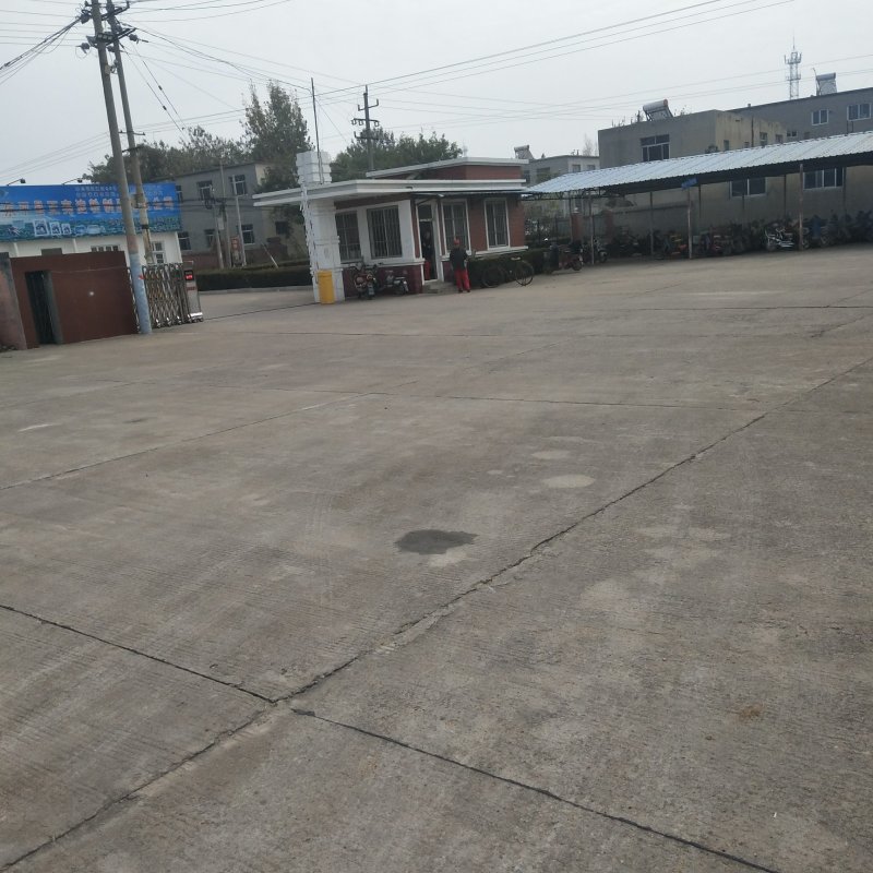 粉条