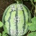 8424西瓜糖分高皮薄果型好产地直发欢迎咨询选购