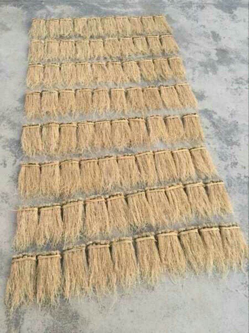 【推荐】养肝草货产地大量批发、一手货源货源充足、物美价廉
