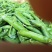 长寿仁好货4500一吨
