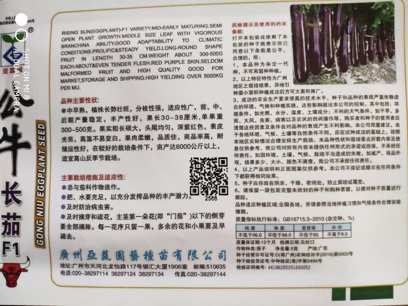 公牛长茄茄子种子，头尾均匀,深紫红色,表皮光亮1000粒