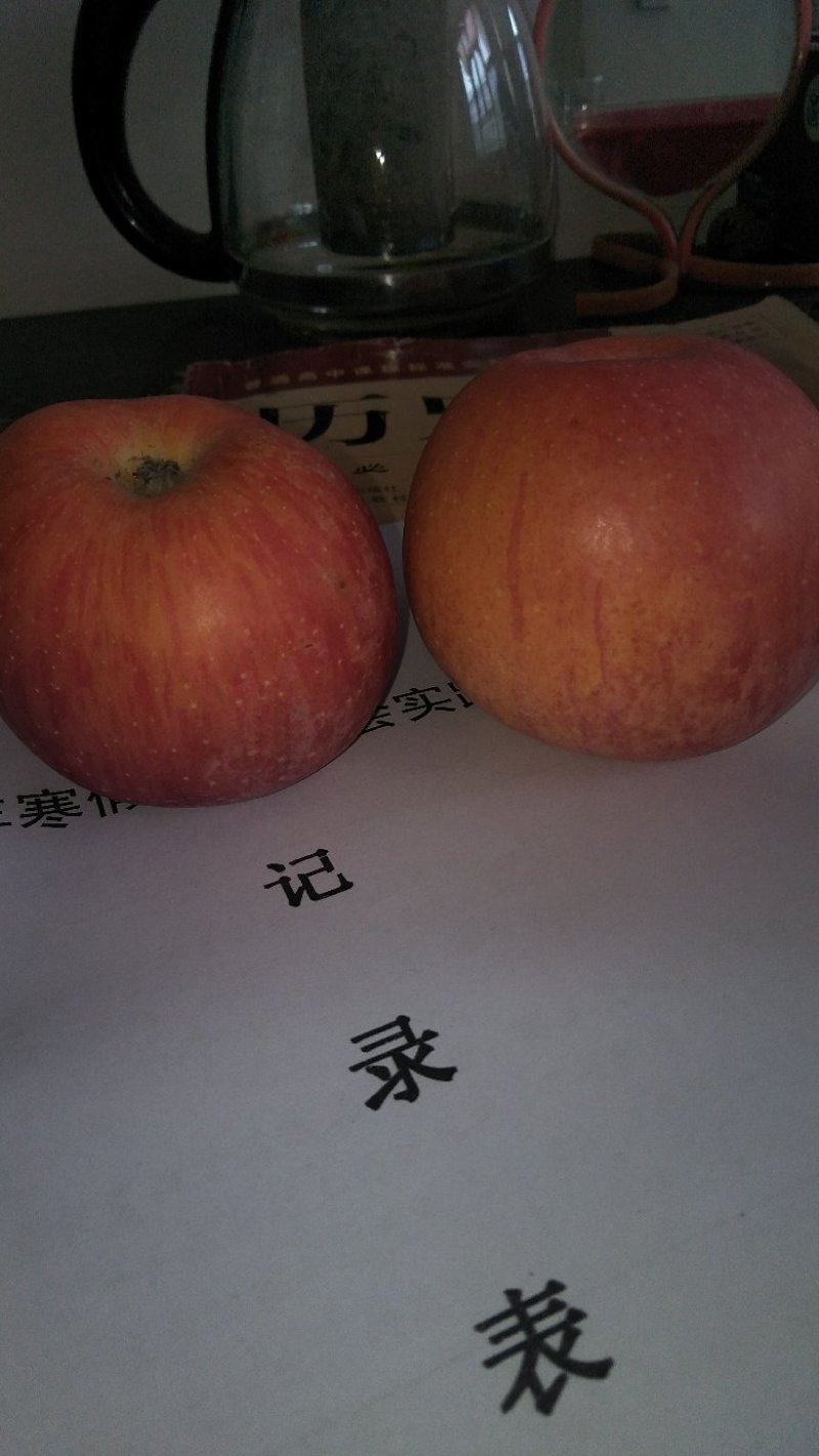 中条山高原红富士脆甜爽口，欢迎八方宾客前来品鉴