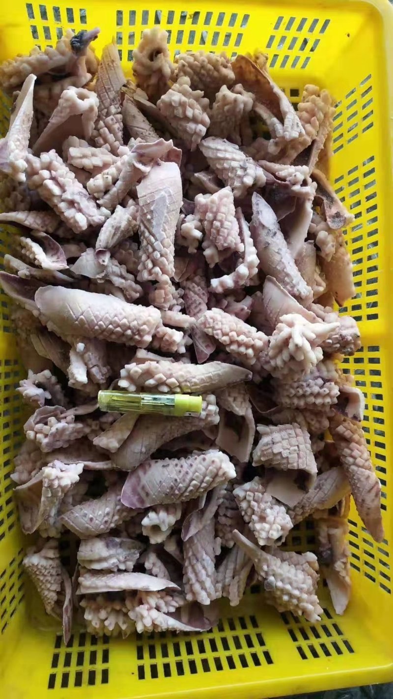 鱿鱼耳花