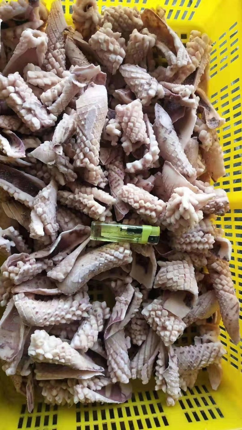 鱿鱼耳花