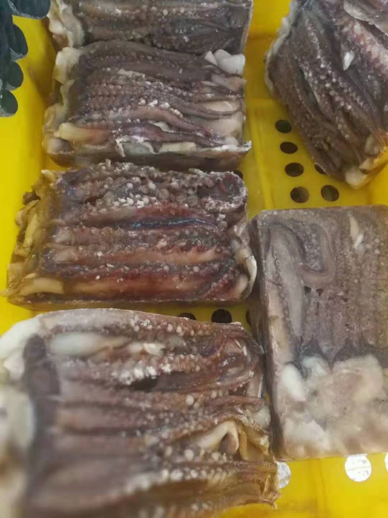 鱿鱼