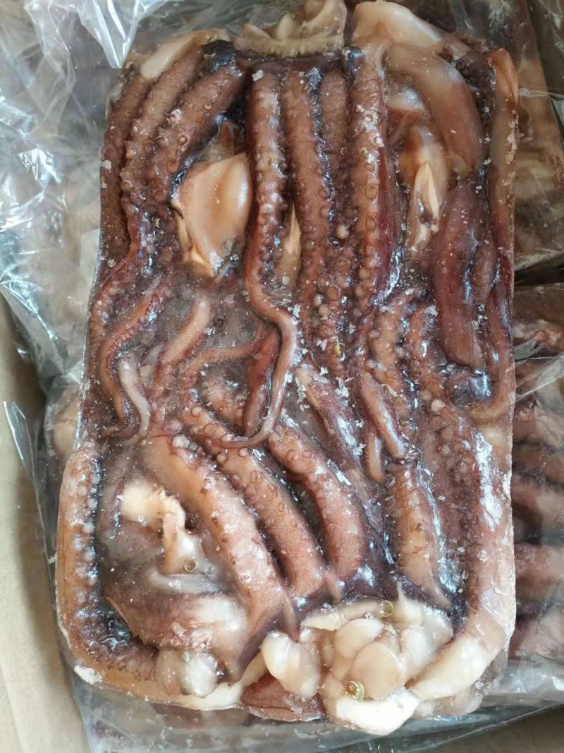鱿鱼