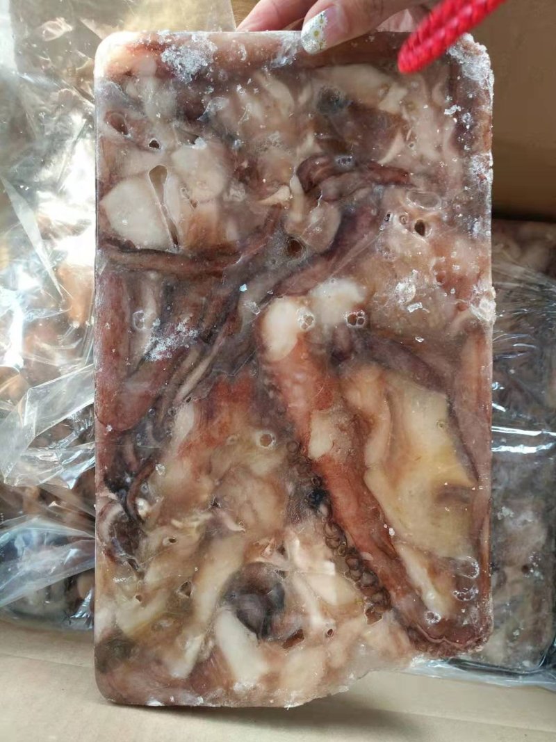 鱿鱼