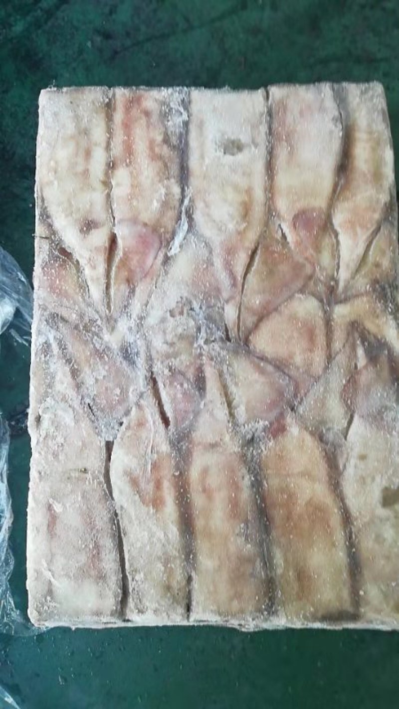 鱿鱼