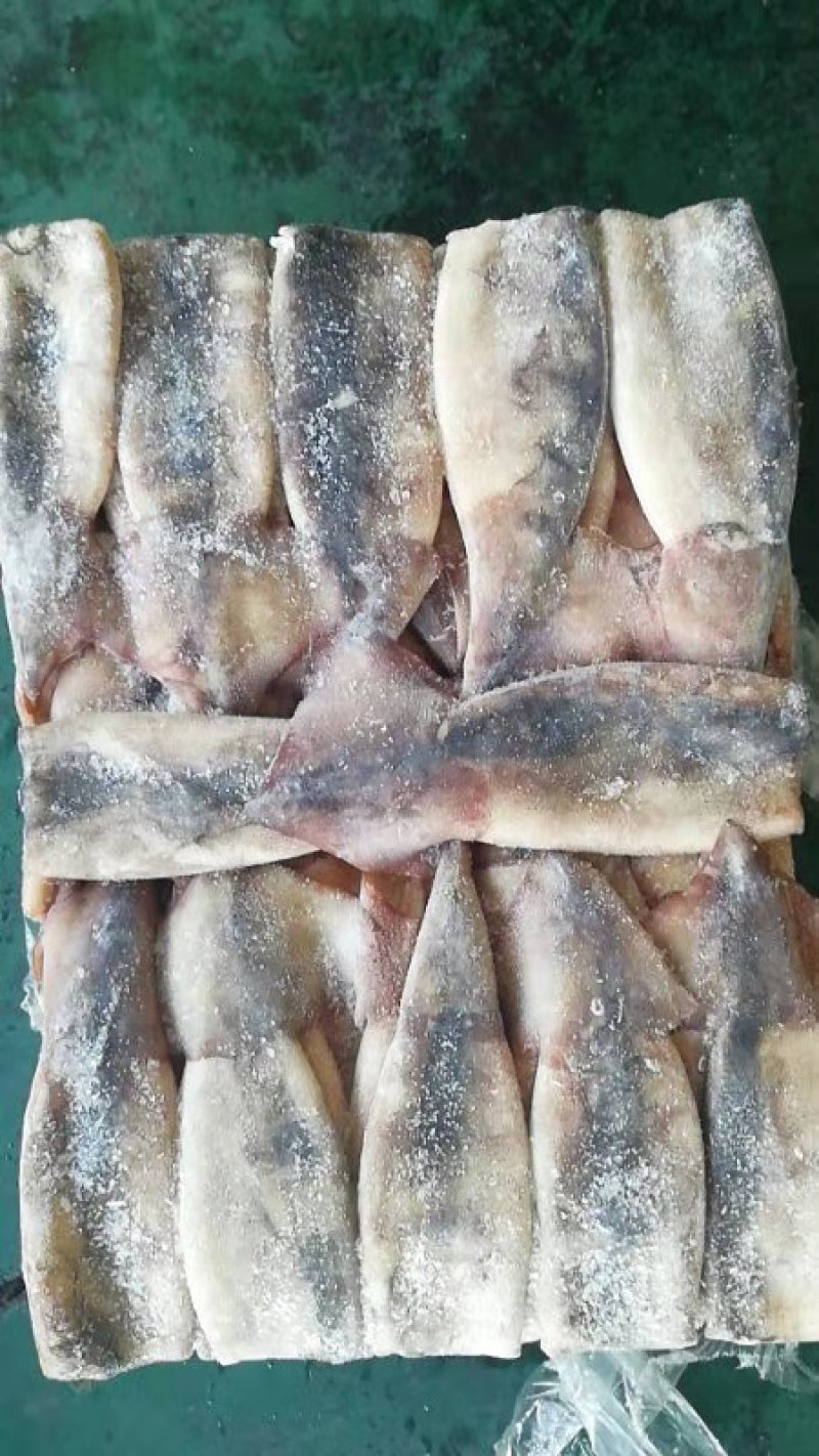 鱿鱼