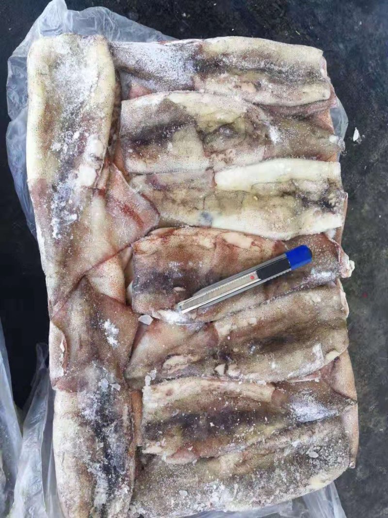 鱿鱼