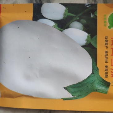 松田雪茄茄子种子，韩国引进！白罐茄子种子，白茄子种子