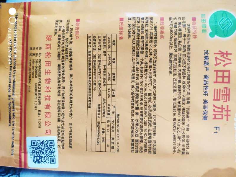 松田雪茄茄子种子，韩国引进！白罐茄子种子，白茄子种子