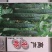 高产先锋黄瓜种子南方春夏秋冬均可种