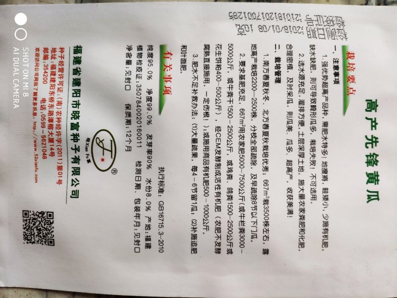 高产先锋黄瓜种子南方春夏秋冬均可种