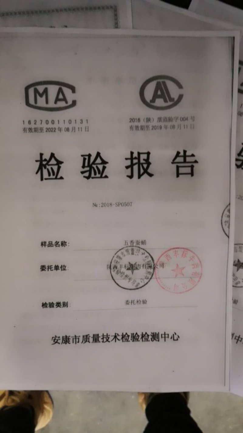 蚕蛹