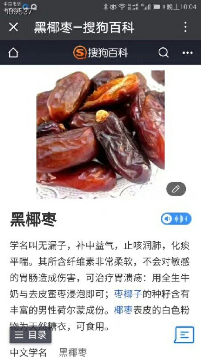 黑椰枣