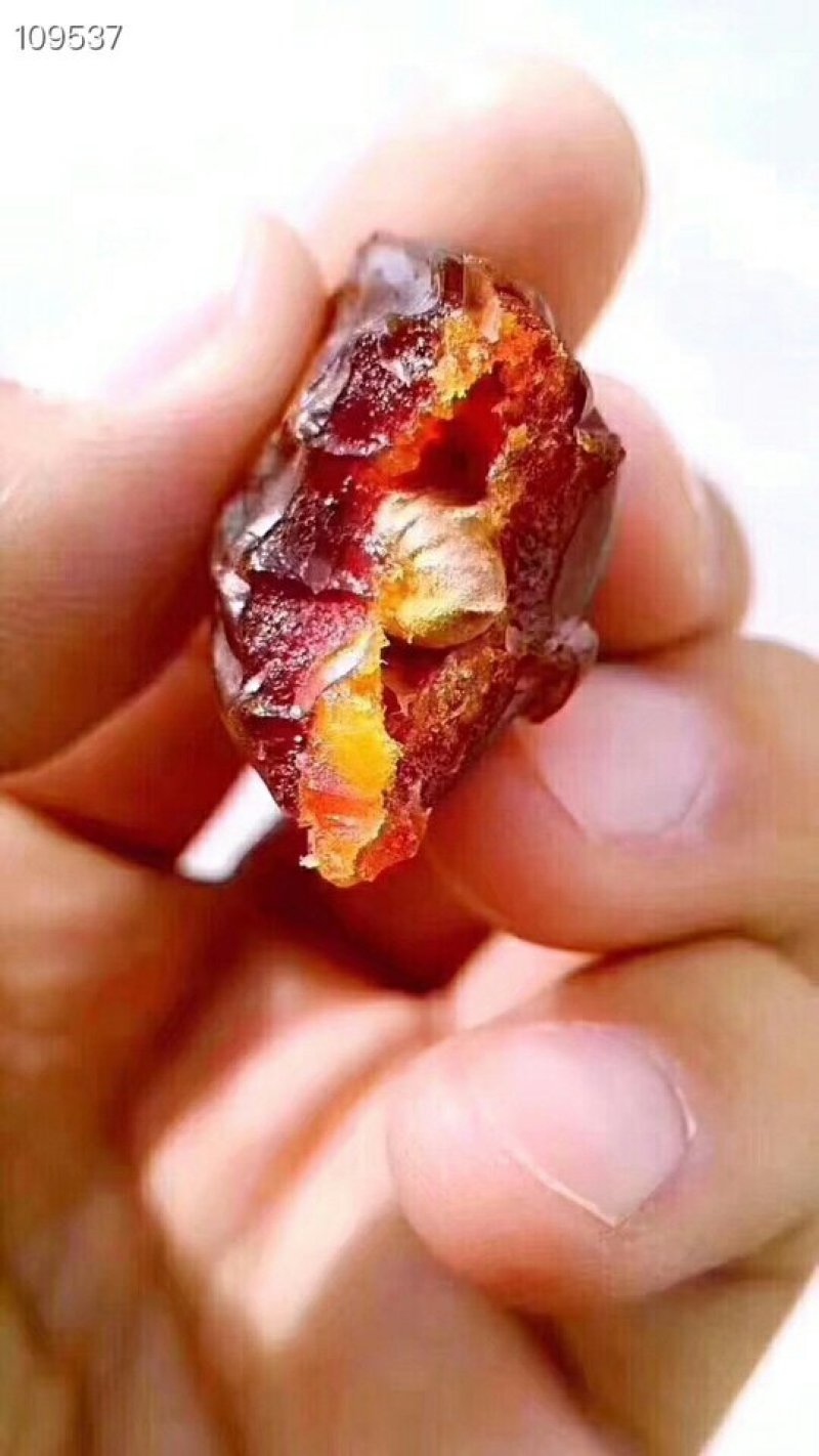 黑椰枣
