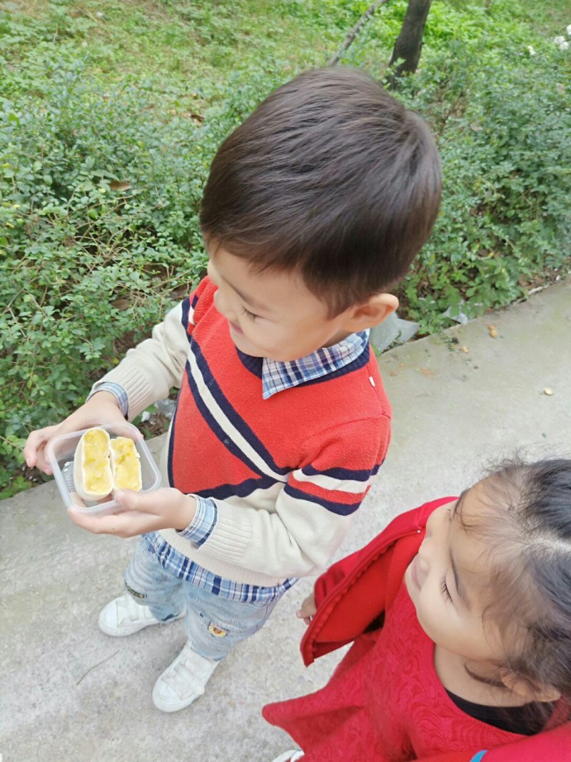 榴莲酥