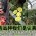 麒麟王少籽巨龙世纪雷王京欣王甜王8424西瓜种子