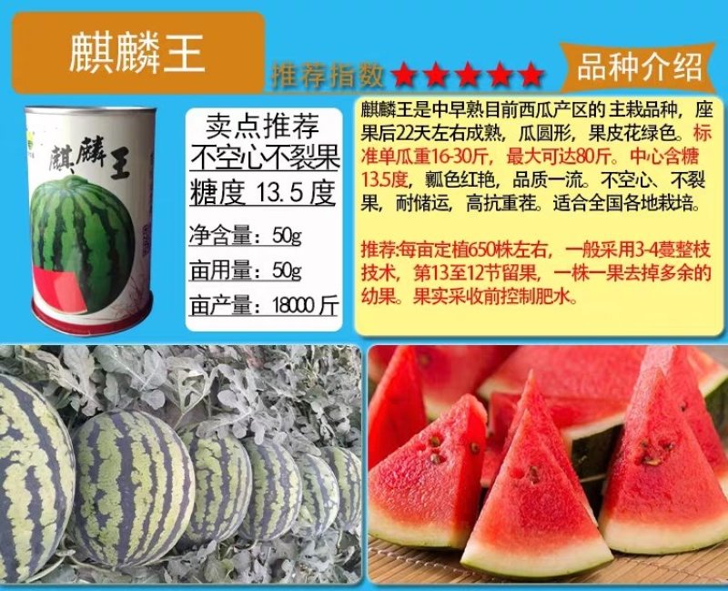 麒麟王少籽巨龙世纪雷王京欣王甜王8424西瓜种子