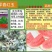 麒麟王少籽巨龙世纪雷王京欣王甜王8424西瓜种子