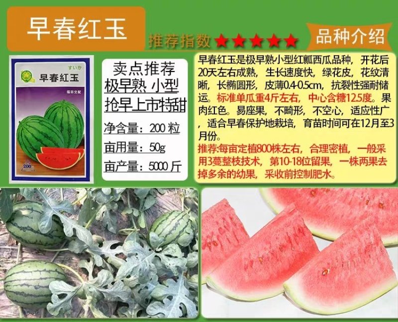 麒麟王少籽巨龙世纪雷王京欣王甜王8424西瓜种子