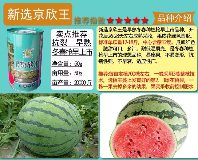 麒麟王少籽巨龙世纪雷王京欣王甜王8424西瓜种子