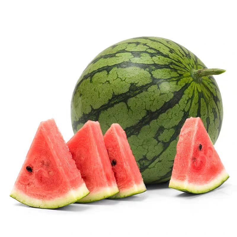 麒麟王少籽巨龙世纪雷王京欣王甜王8424西瓜种子